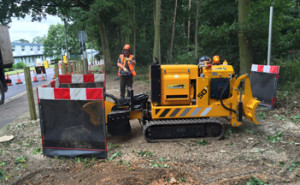 Stump Grinding and Treatment